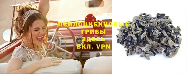 Альфа ПВП Новозыбков